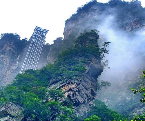 ��������TƱ